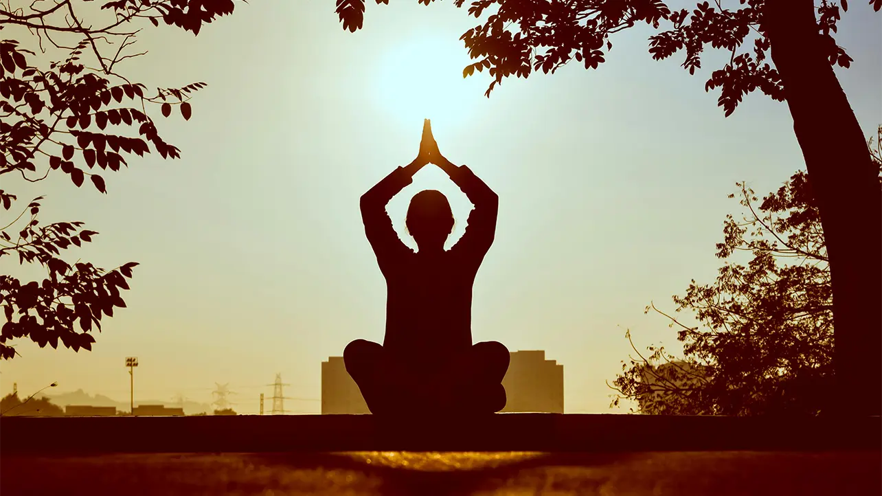 Holistic Wellness: Embracing Mind-Body Harmony