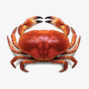Red Crab